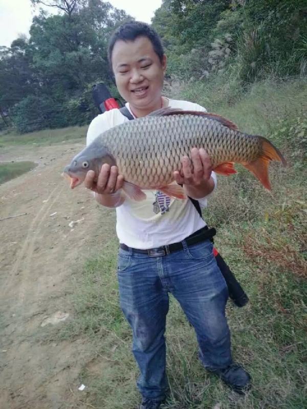迷路的男人的第一张照片--东山交友网