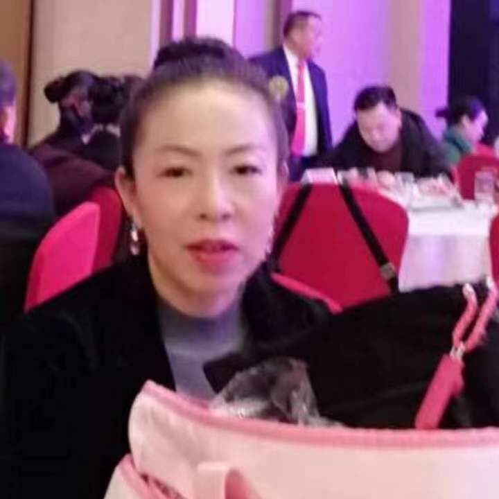 中秋桂花玉兔的第四张照片--东山交友网